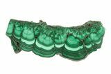 Polished Malachite Slab - DR Congo #266815-1